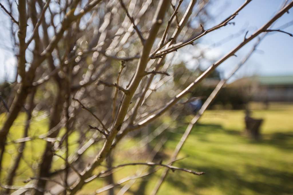 6A Gloucester Street, STROUD, NSW 2425 AUS