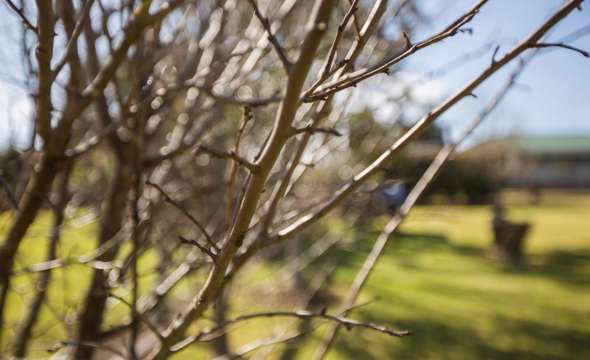 6A Gloucester Street, STROUD, NSW 2425 AUS