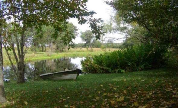 37 Terreel Rd, Wards RIver Via, STROUD, NSW 2425 AUS