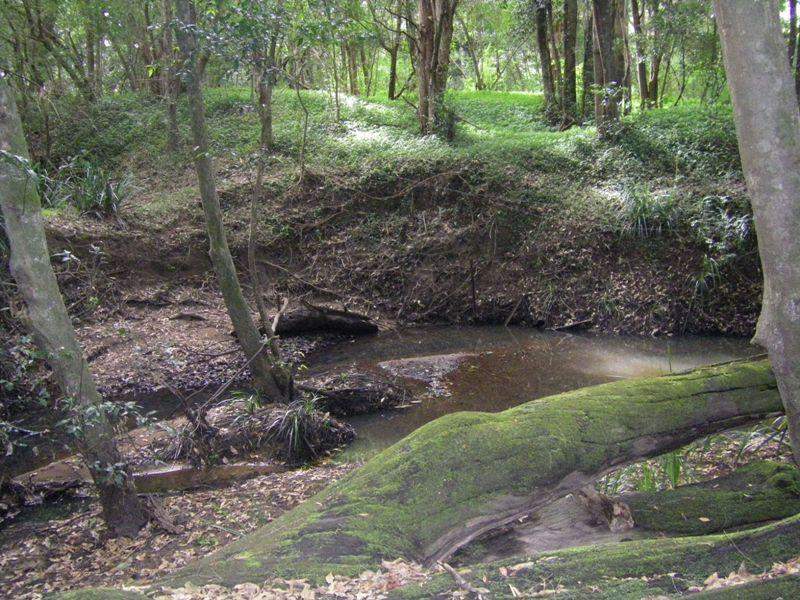 37 Terreel Rd, Wards RIver Via, STROUD, NSW 2425 AUS