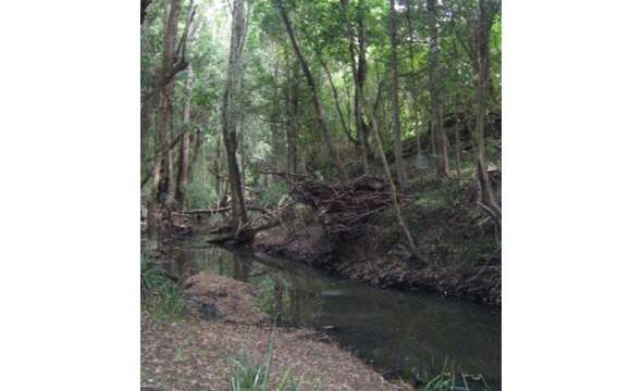 37 Terreel Rd, Wards RIver Via, STROUD, NSW 2425 AUS