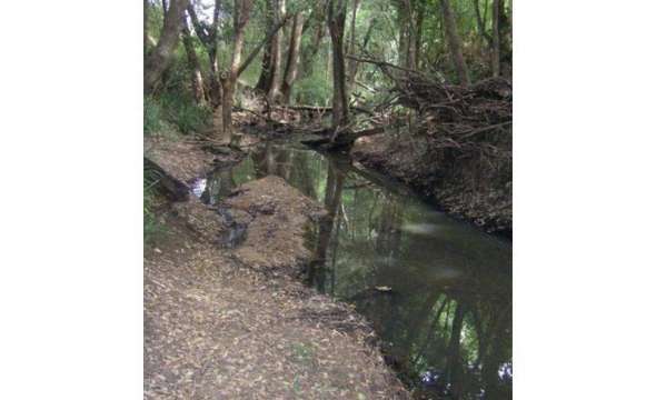 37 Terreel Rd, Wards RIver Via, STROUD, NSW 2425 AUS