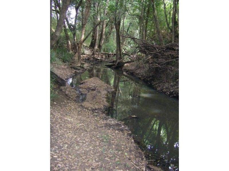 37 Terreel Rd, Wards RIver Via, STROUD, NSW 2425 AUS