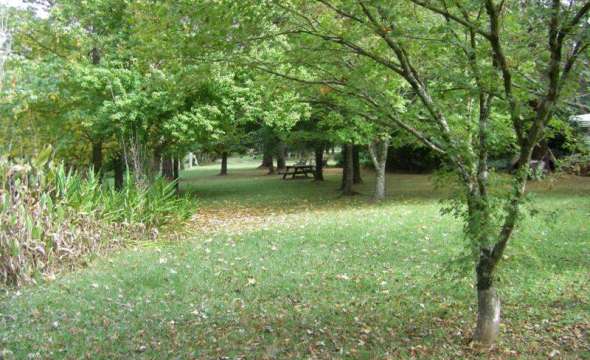 37 Terreel Rd, Wards RIver Via, STROUD, NSW 2425 AUS
