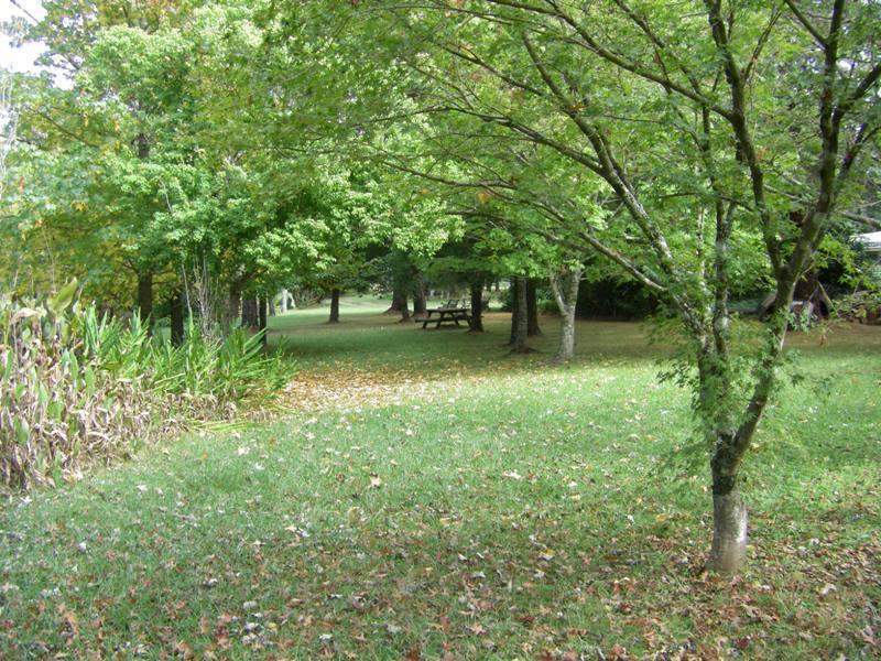 37 Terreel Rd, Wards RIver Via, STROUD, NSW 2425 AUS