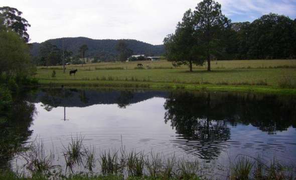 37 Terreel Rd, Wards RIver Via, STROUD, NSW 2425 AUS