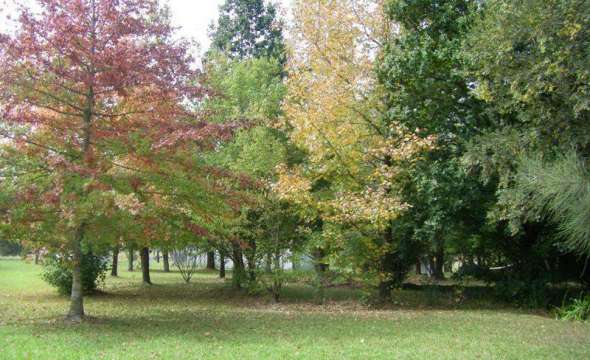 37 Terreel Rd, Wards RIver Via, STROUD, NSW 2425 AUS
