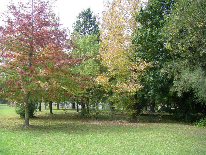 37 Terreel Rd, Wards RIver Via, STROUD, NSW 2425 AUS