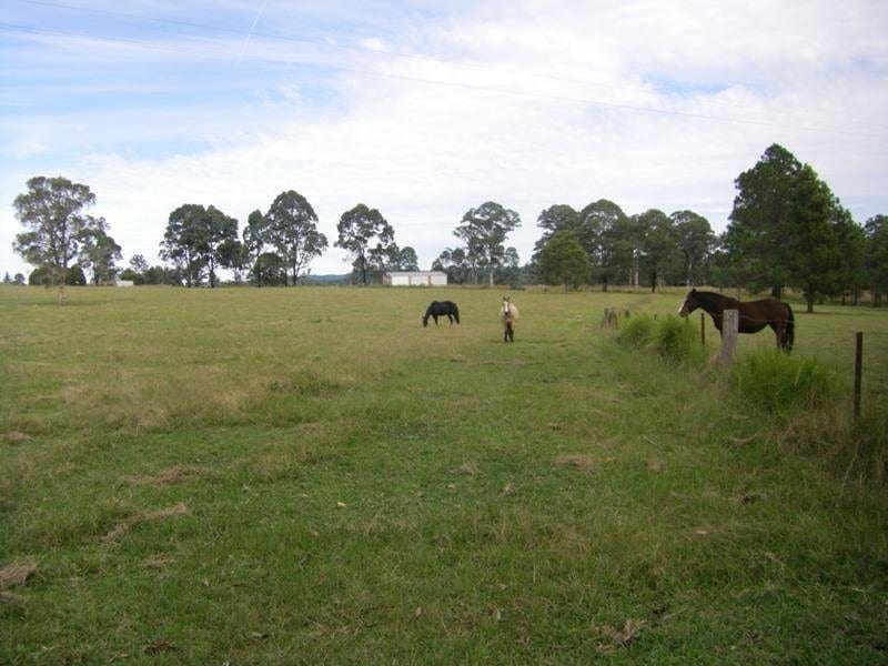 37 Terreel Rd, Wards RIver Via, STROUD, NSW 2425 AUS