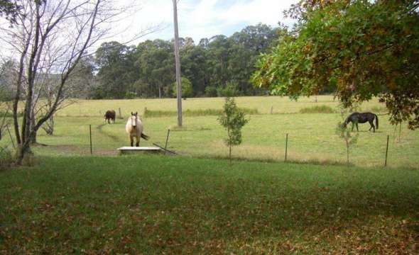 37 Terreel Rd, Wards RIver Via, STROUD, NSW 2425 AUS