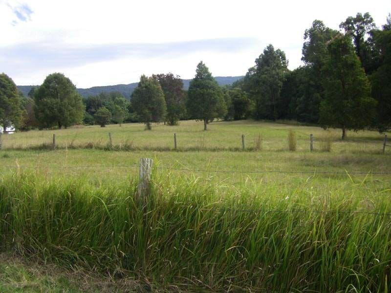 37 Terreel Rd, Wards RIver Via, STROUD, NSW 2425 AUS