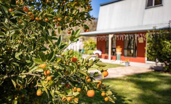 6 Myall Forest Road, BULAHDELAH, NSW 2423 AUS