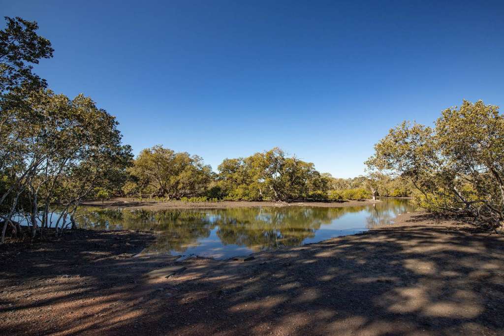 6 Boronia Road, KARUAH, NSW 2324 AUS