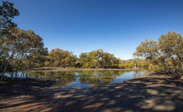 6 Boronia Road, KARUAH, NSW 2324 AUS