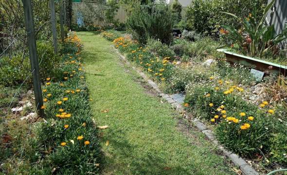 5 Edgar Street, BULAHDELAH, NSW 2423 AUS