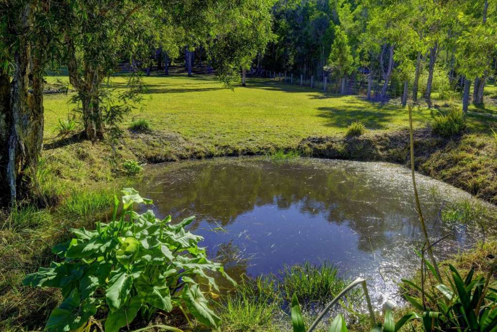 103 Suncrest Close, BULAHDELAH, NSW 2423 AUS