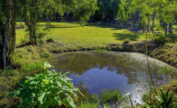 103 Suncrest Close, BULAHDELAH, NSW 2423 AUS