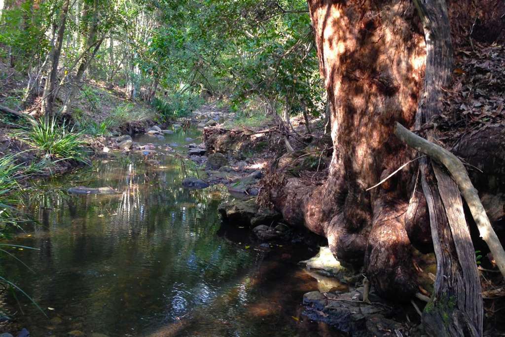 859 Little Bunyah Road, BUCCA WAUKA, NSW 2429 AUS