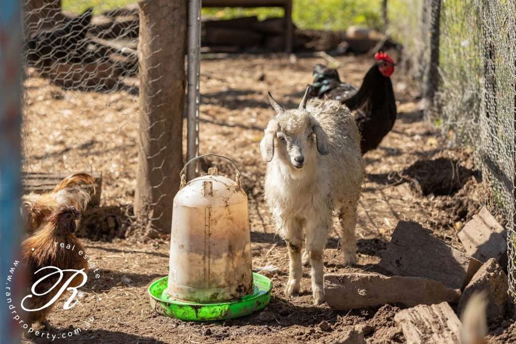 1913 Waukivory Road, GLOUCESTER, NSW 2422 AUS