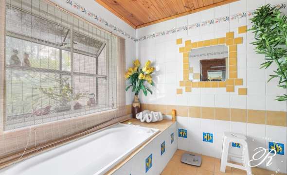 686 Seaham Road, NELSONS PLAINS, NSW 2324 AUS