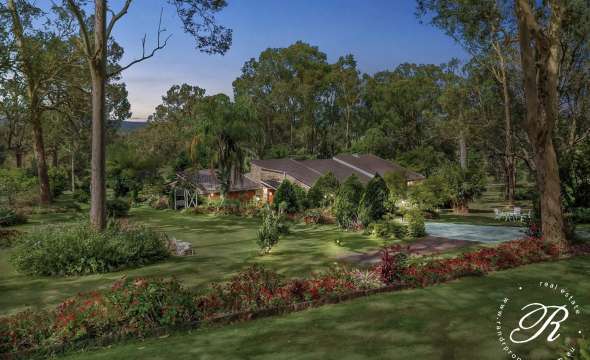 686 Seaham Road, NELSONS PLAINS, NSW 2324 AUS