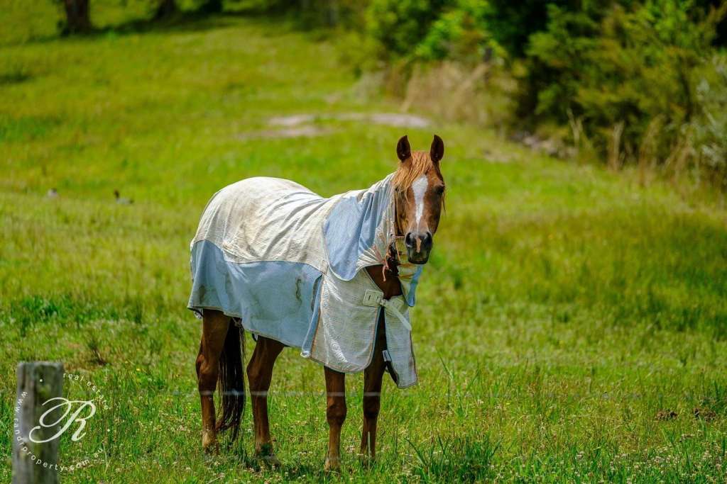 Bulahdelah, NSW 2423 AUS