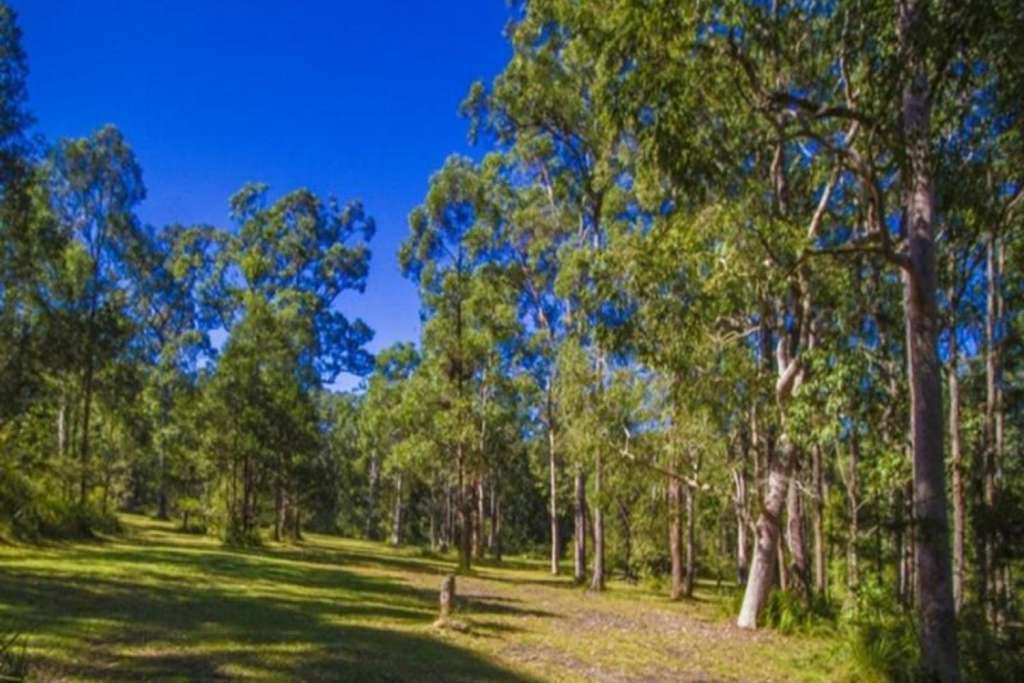 STROUD, NSW 2425 AUS
