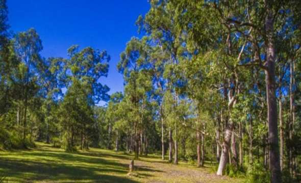 STROUD, NSW 2425 AUS