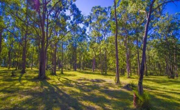 STROUD, NSW 2425 AUS
