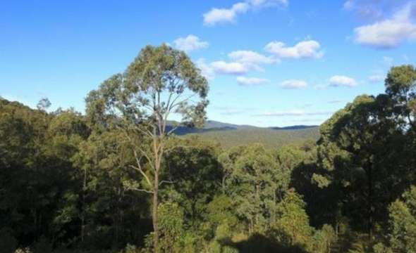 130 Bede Street, STROUD, NSW 2425 AUS