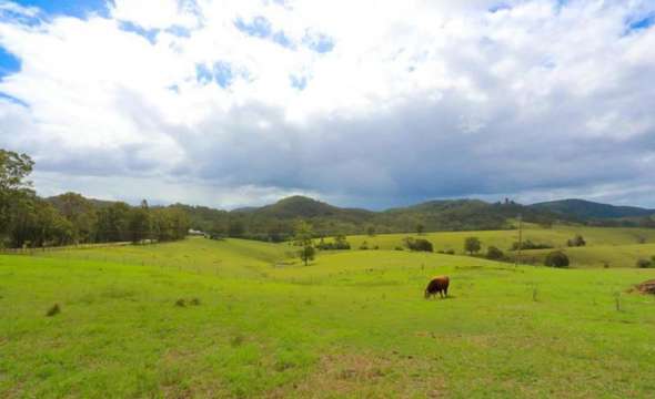 1910 Booral Road, GIRVAN, NSW 2425 AUS