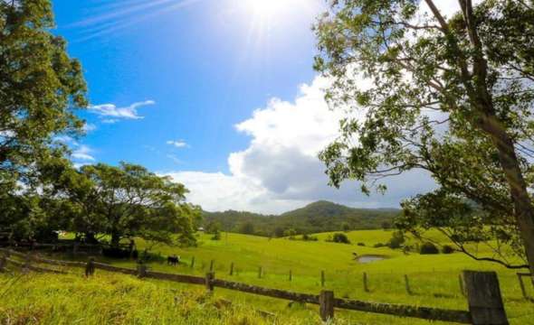 1910 Booral Road, GIRVAN, NSW 2425 AUS