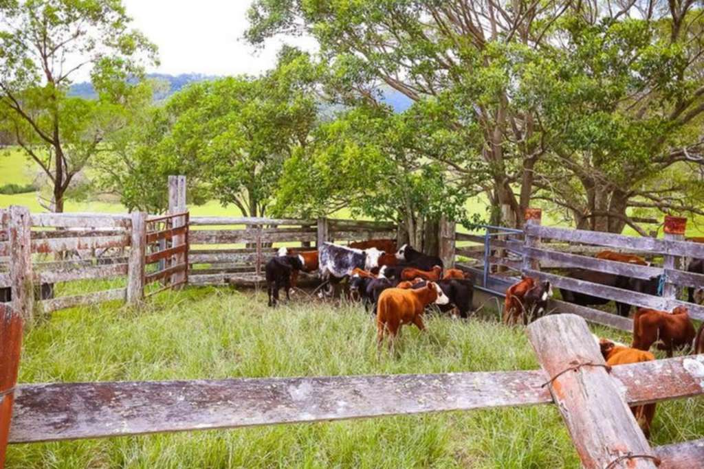 1910 Booral Road, GIRVAN, NSW 2425 AUS