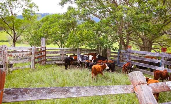 1910 Booral Road, GIRVAN, NSW 2425 AUS