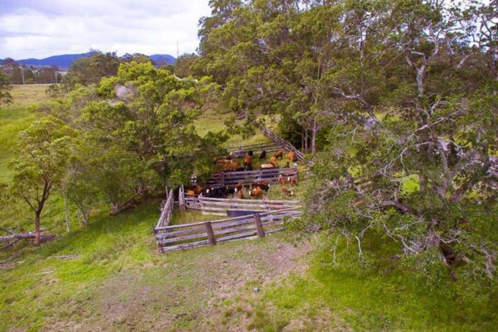 1910 Booral Road, GIRVAN, NSW 2425 AUS