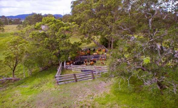 1910 Booral Road, GIRVAN, NSW 2425 AUS