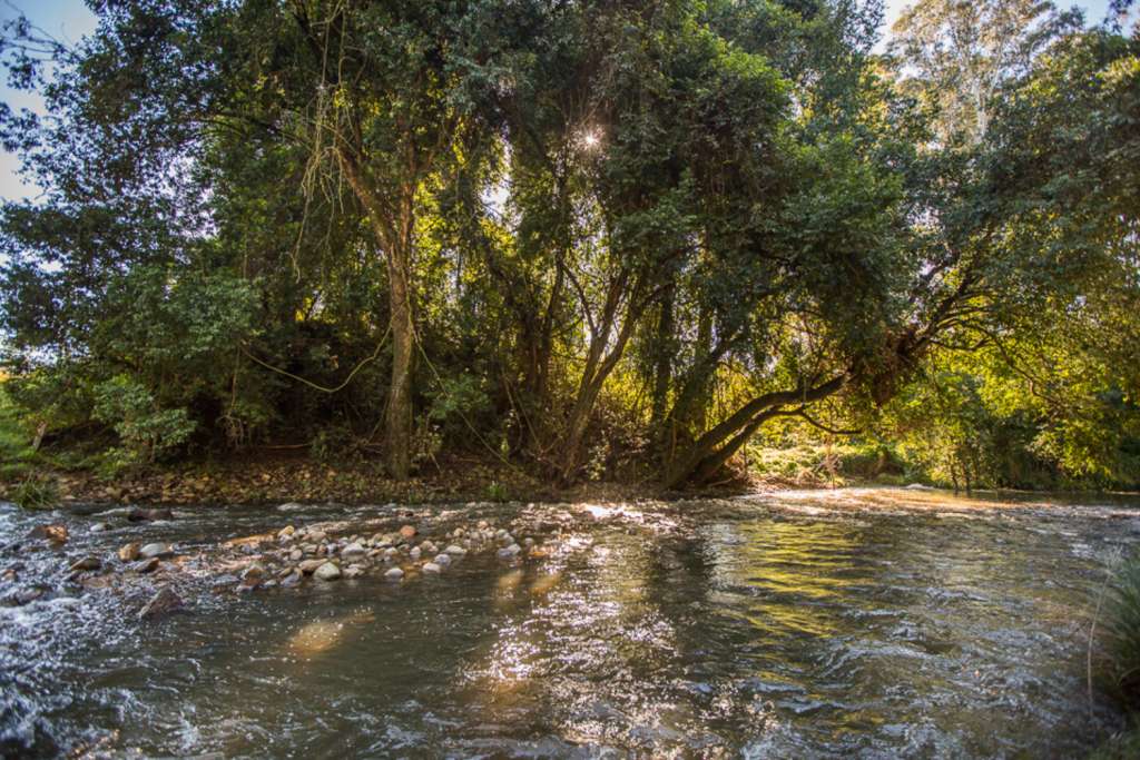 8 Reidsdale Road, STROUD, NSW 2425 AUS