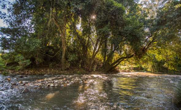 8 Reidsdale Road, STROUD, NSW 2425 AUS