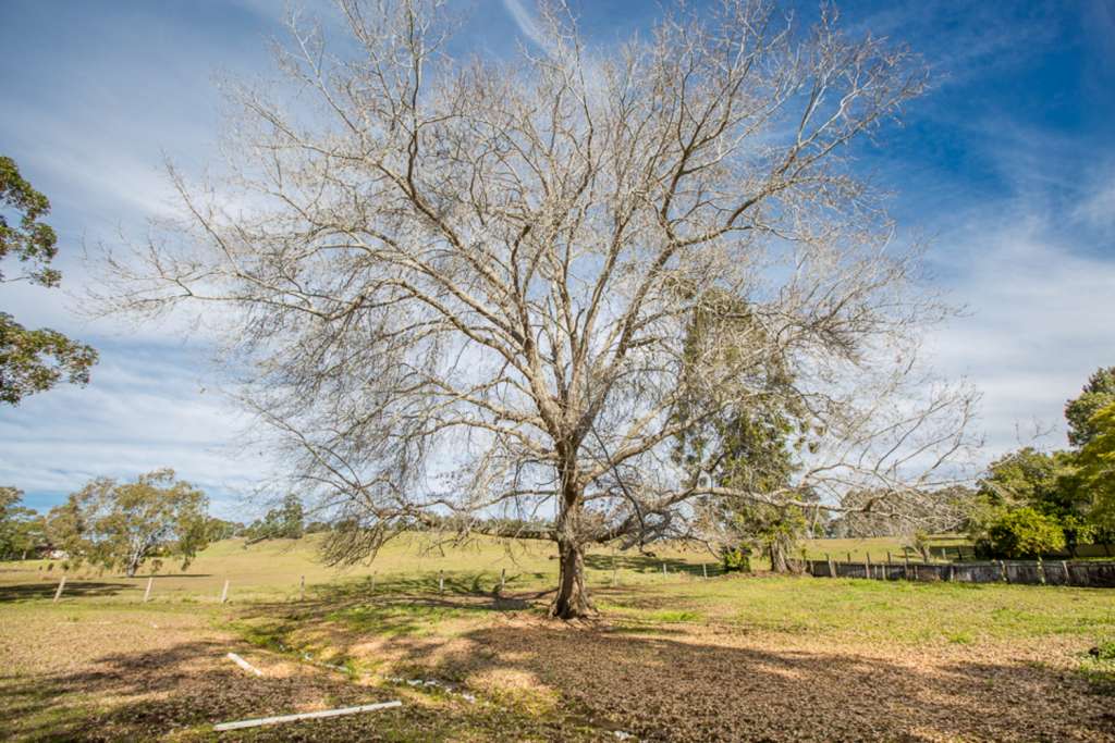 20 Erin Street, STROUD, NSW 2425 AUS