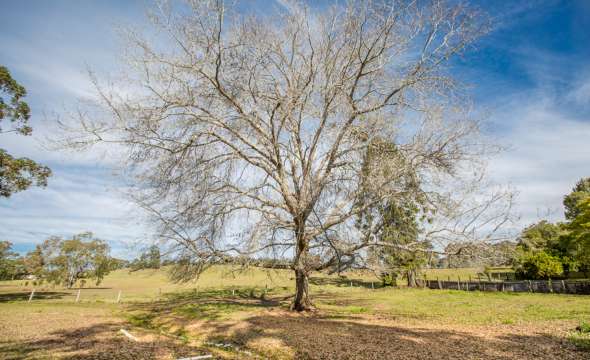 20 Erin Street, STROUD, NSW 2425 AUS