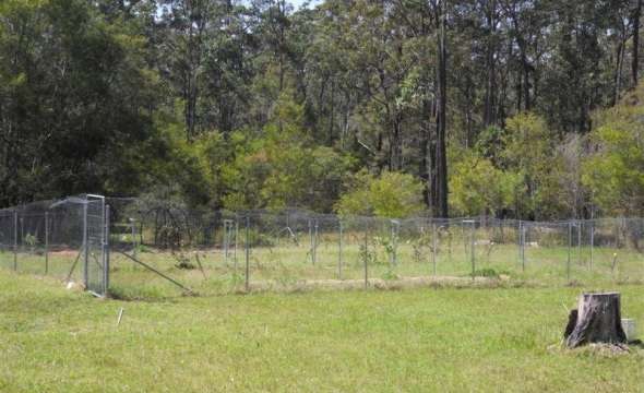 GIRVAN, NSW 2425 AUS