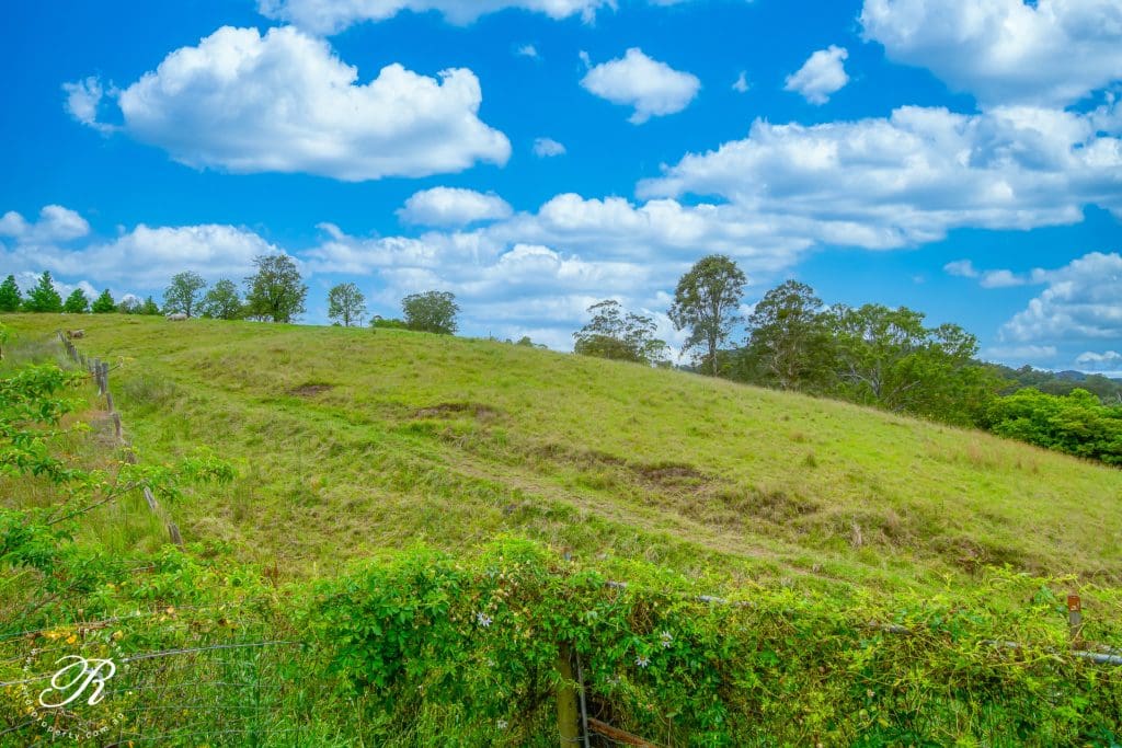 51A Parkside Close, Stroud Road, NSW 2415 AUS