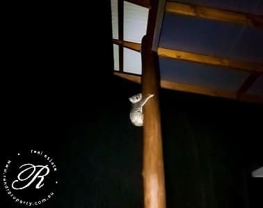 2069 The Bucketts Way, Booral, NSW 2425 AUS