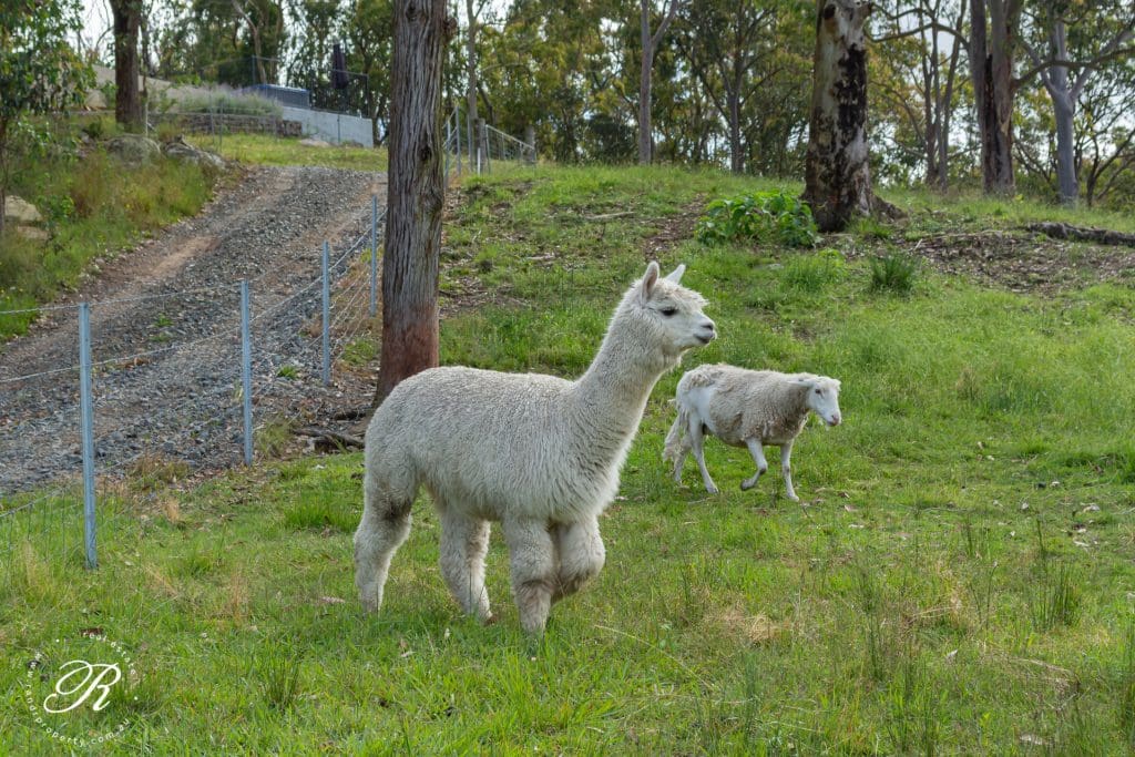 2069 The Bucketts Way, Booral, NSW 2425 AUS