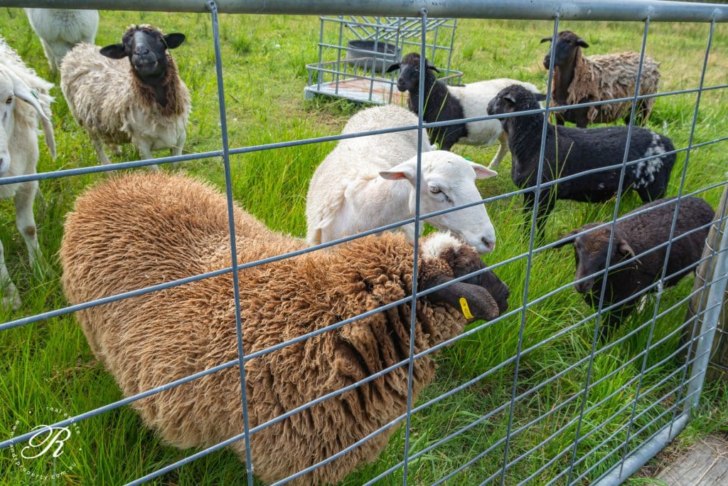 2069 The Bucketts Way, Booral, NSW 2425 AUS