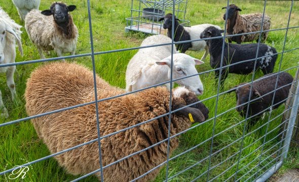 2069 The Bucketts Way, Booral, NSW 2425 AUS