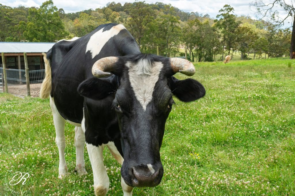 2069 The Bucketts Way, Booral, NSW 2425 AUS