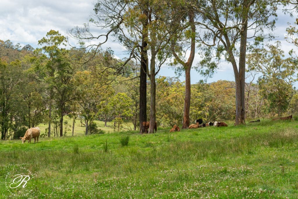 2069 The Bucketts Way, Booral, NSW 2425 AUS