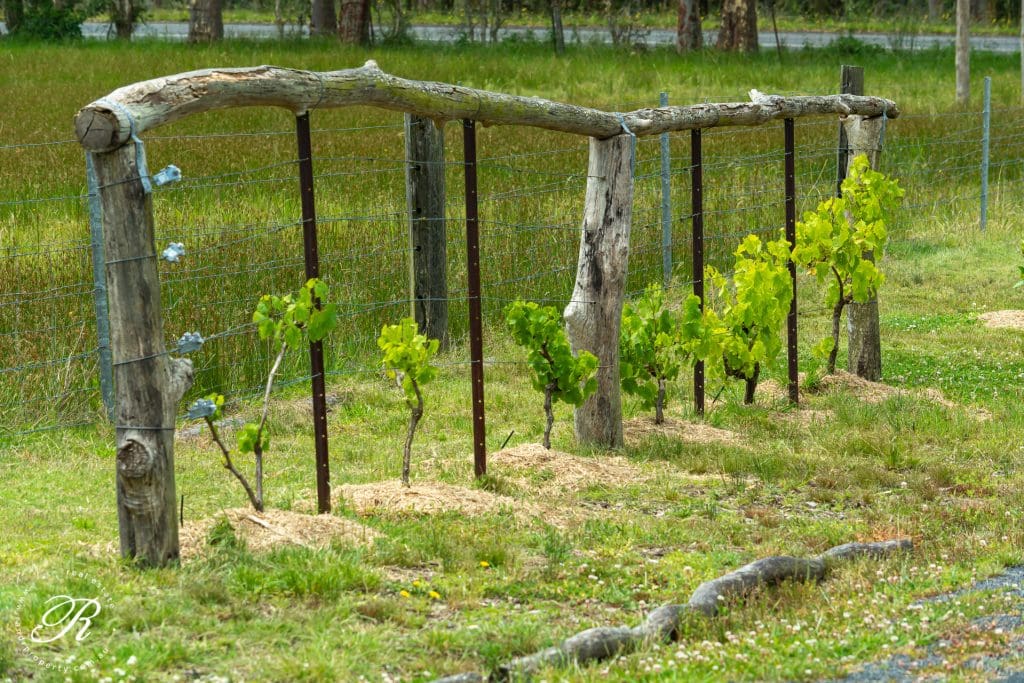 2069 The Bucketts Way, Booral, NSW 2425 AUS