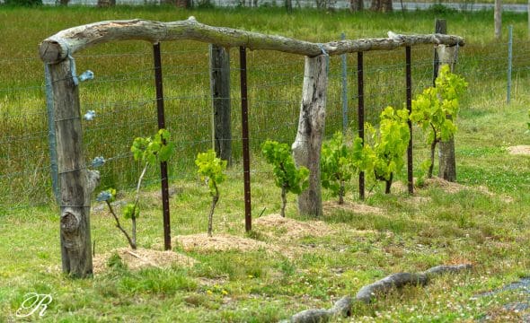 2069 The Bucketts Way, Booral, NSW 2425 AUS